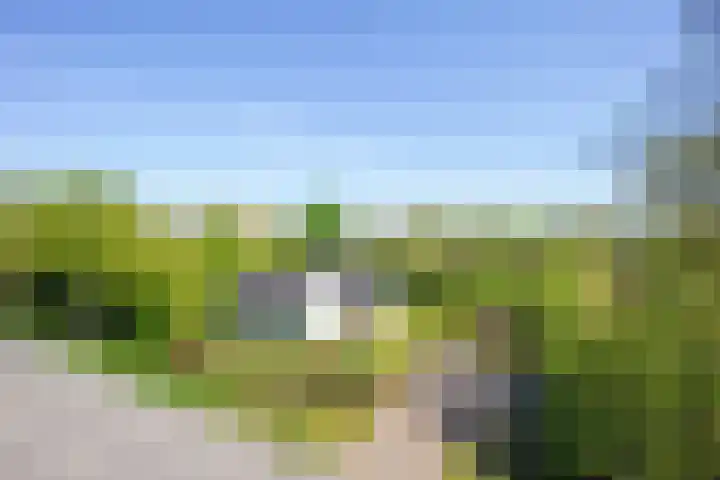 Tuinstraat 47 Zwaagdijk-Oost thumbnail 53