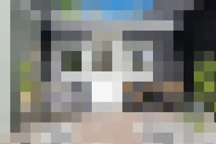 Tuinstraat 47 Zwaagdijk-Oost thumbnail 7