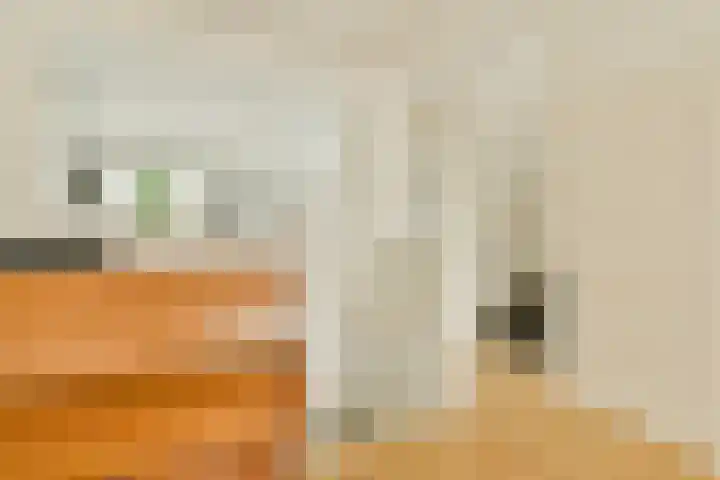 Tuinstraat 48 1 Amsterdam thumbnail 23