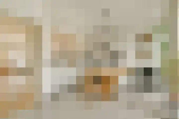 Tuinstraat 48 1 Amsterdam thumbnail 25