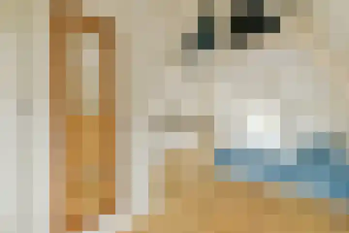 Tuinstraat 48 1 Amsterdam thumbnail 30