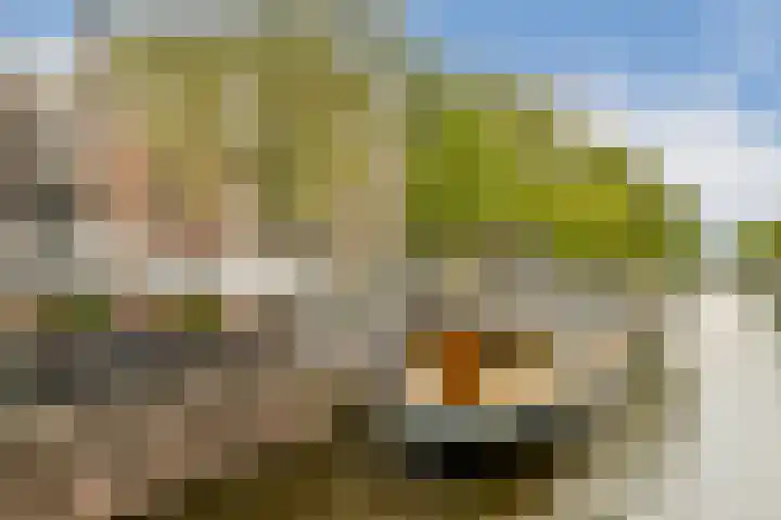 Tuinstraat 48 1 Amsterdam thumbnail 35