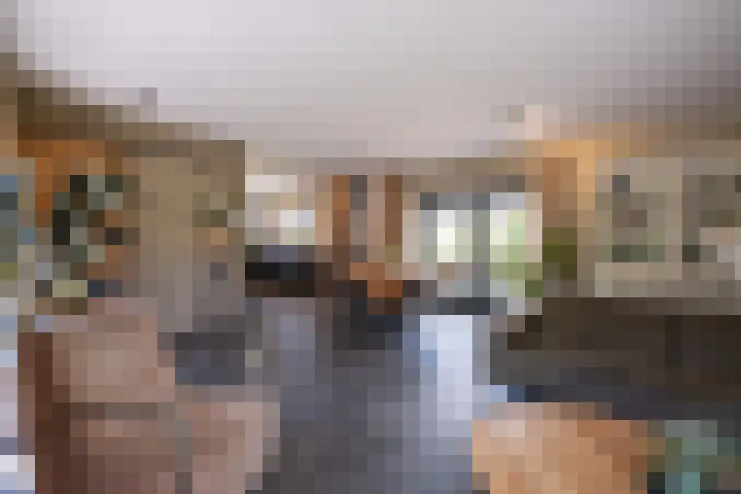 Tuinstraat 49 Zwaagdijk-Oost thumbnail 34
