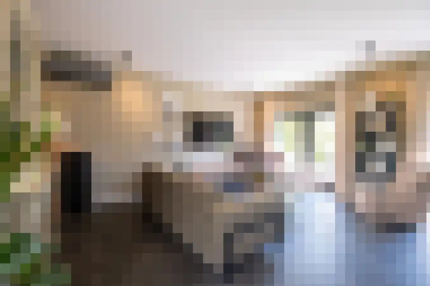 Tuinstraat 49 Zwaagdijk-Oost thumbnail 40