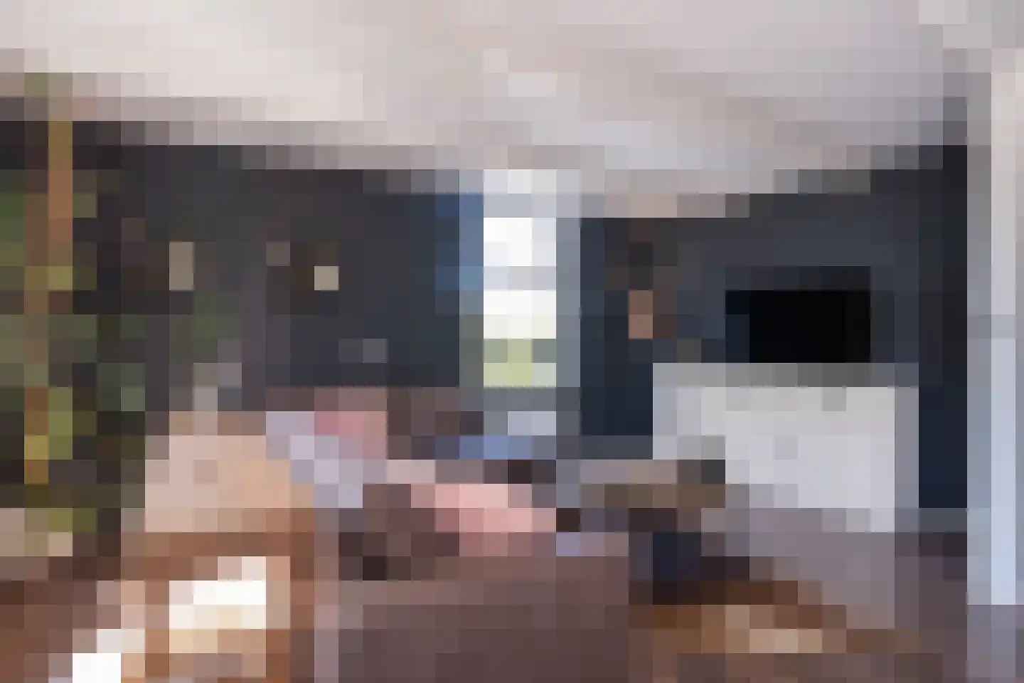 Tuinstraat 49 Zwaagdijk-Oost thumbnail 42