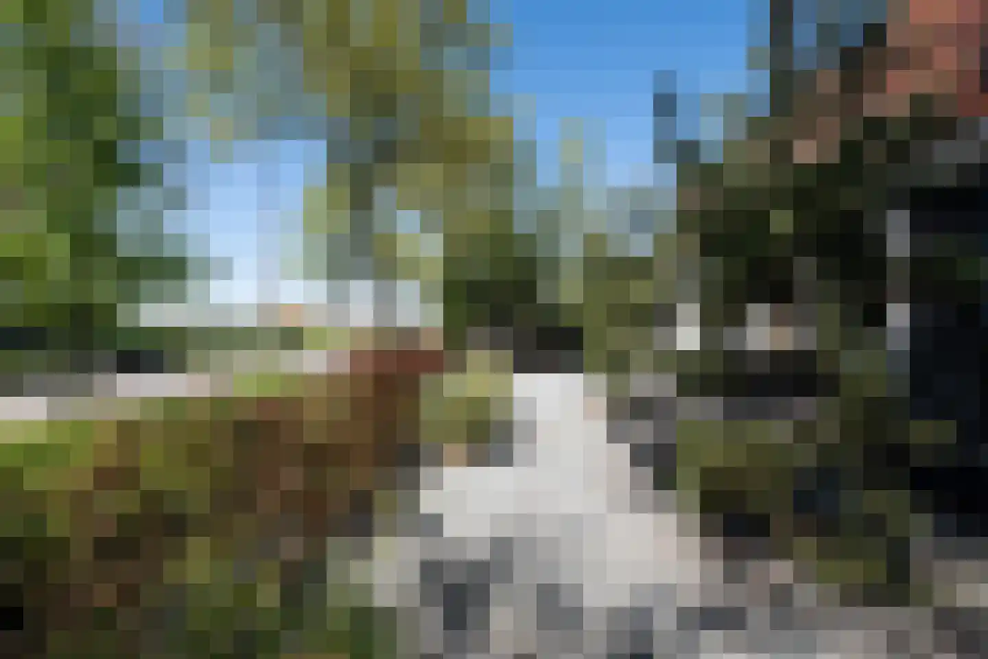 Tuinstraat 49 Zwaagdijk-Oost thumbnail 46