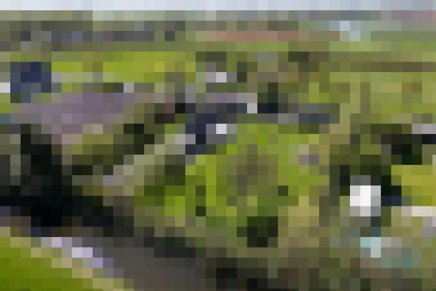Tuinstraat 49 Zwaagdijk-Oost thumbnail 50