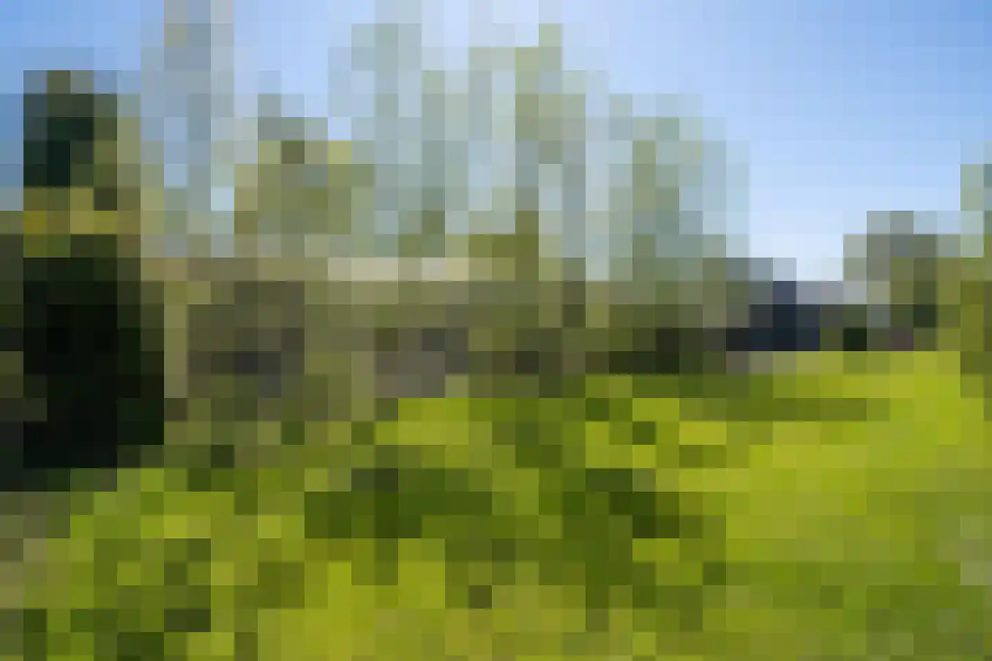 Tuinstraat 49 Zwaagdijk-Oost thumbnail 51