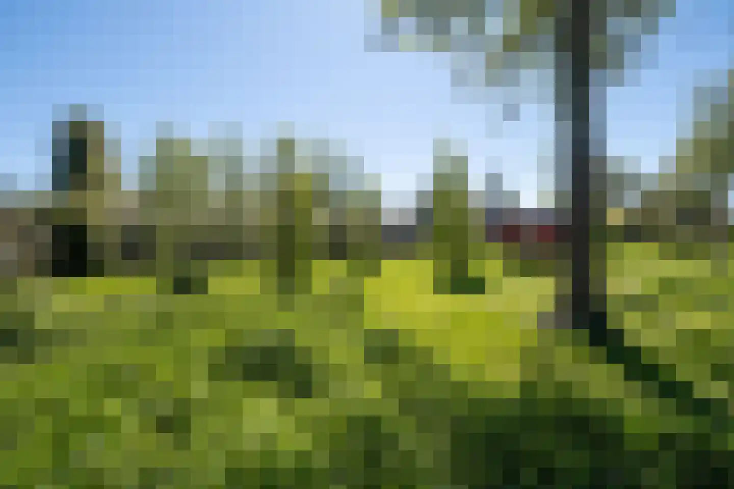 Tuinstraat 49 Zwaagdijk-Oost thumbnail 52