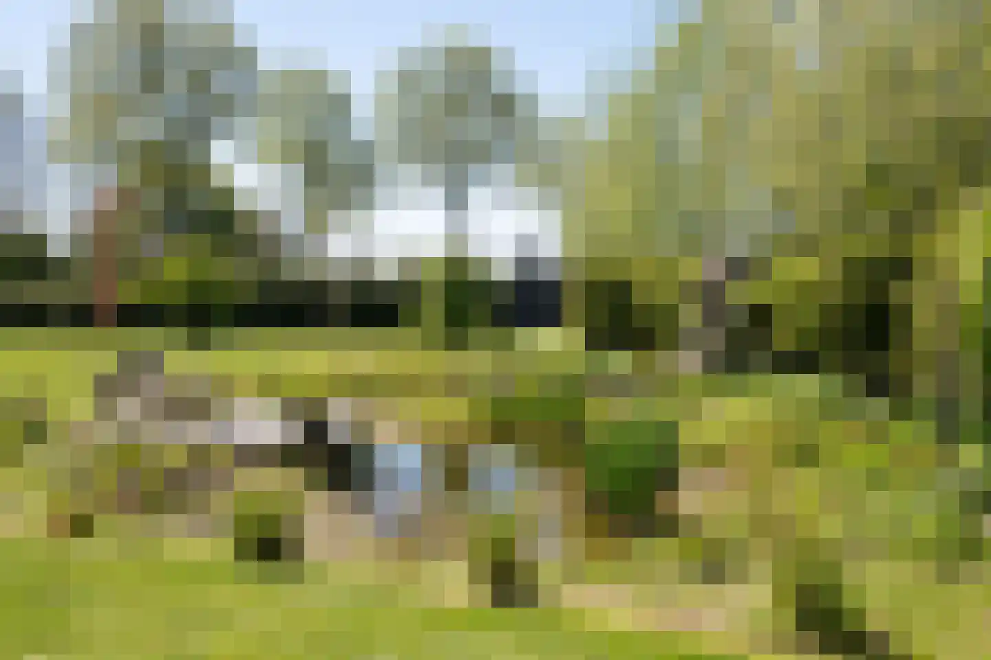 Tuinstraat 49 Zwaagdijk-Oost thumbnail 53