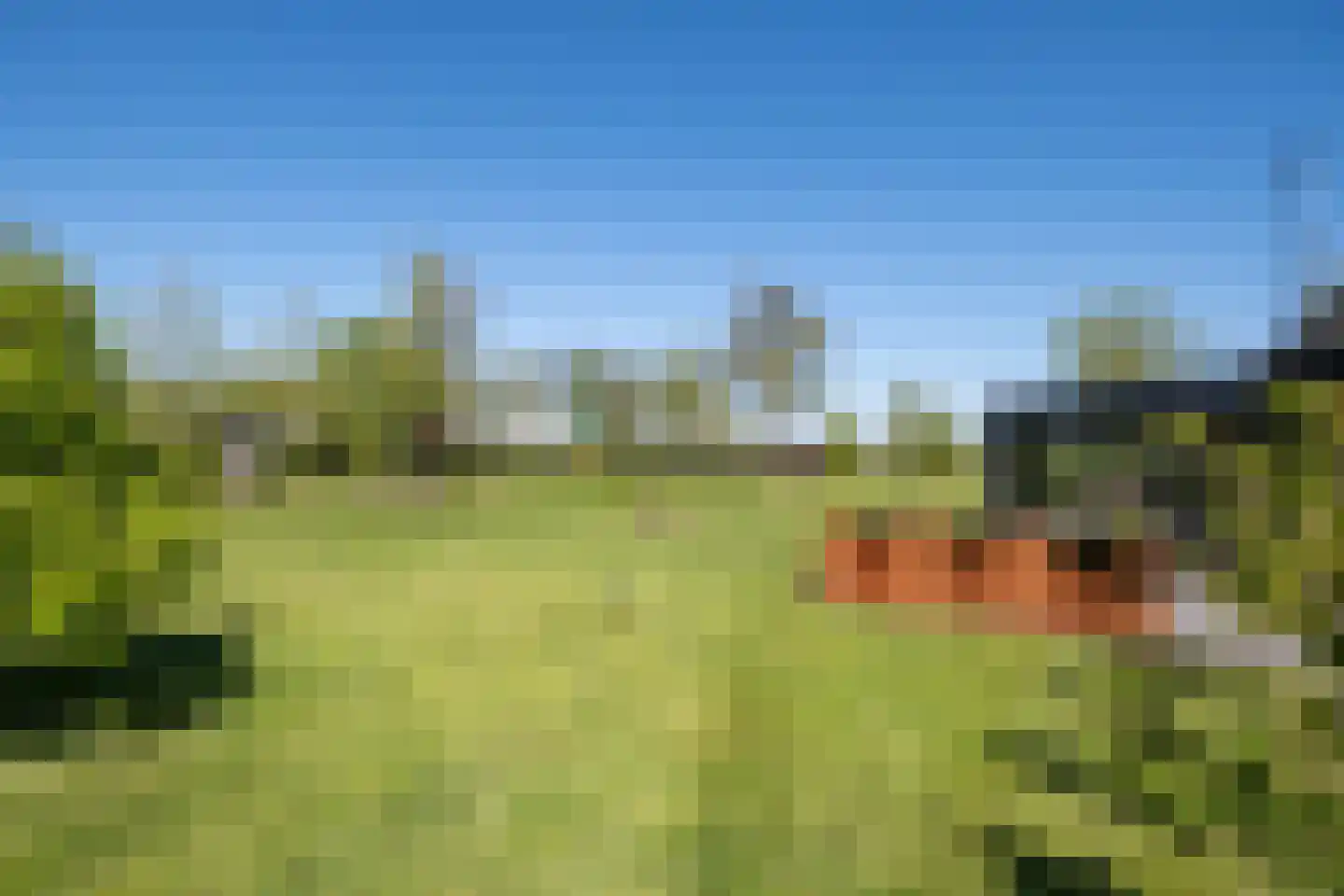 Tuinstraat 49 Zwaagdijk-Oost thumbnail 55