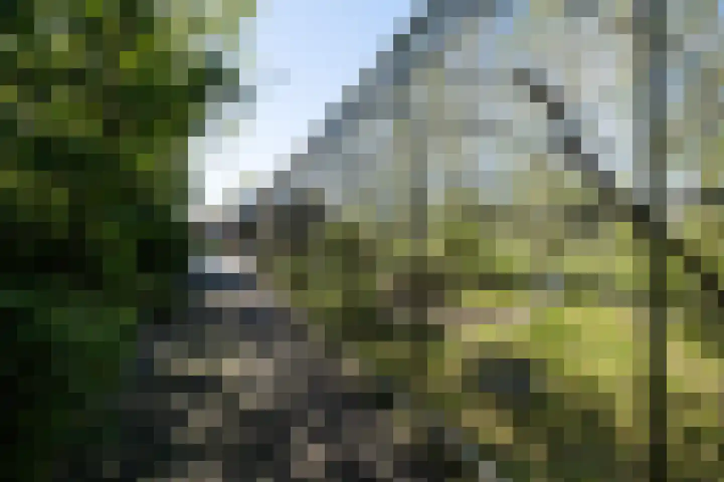 Tuinstraat 49 Zwaagdijk-Oost thumbnail 56