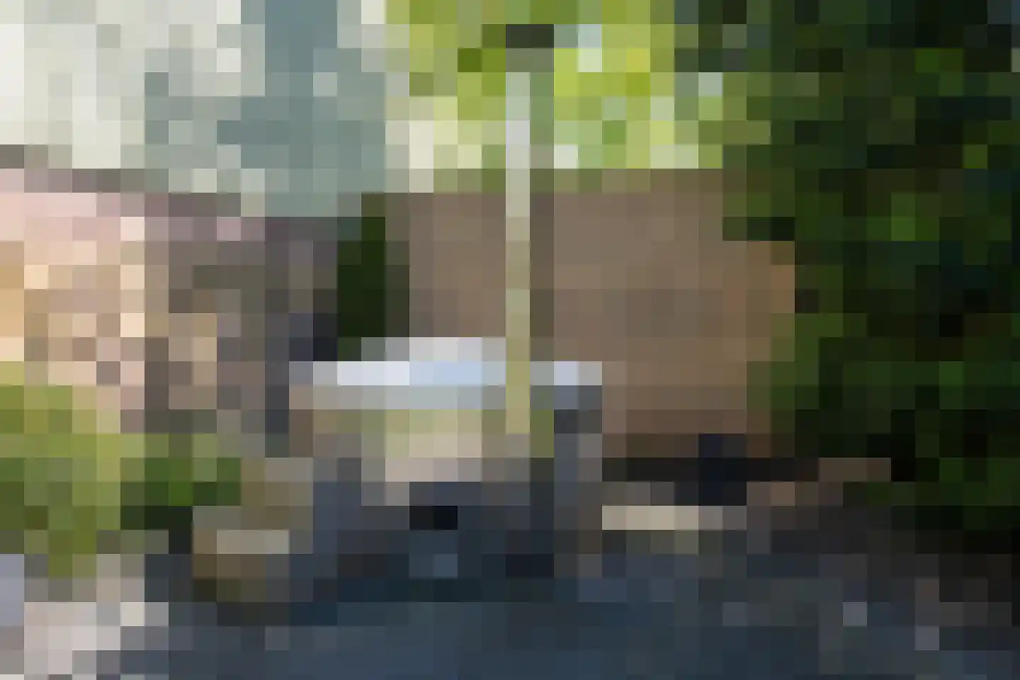 Tuinstraat 49 Zwaagdijk-Oost thumbnail 6