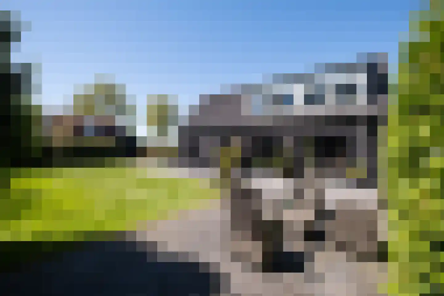 Tuinstraat 49 Zwaagdijk-Oost thumbnail 7