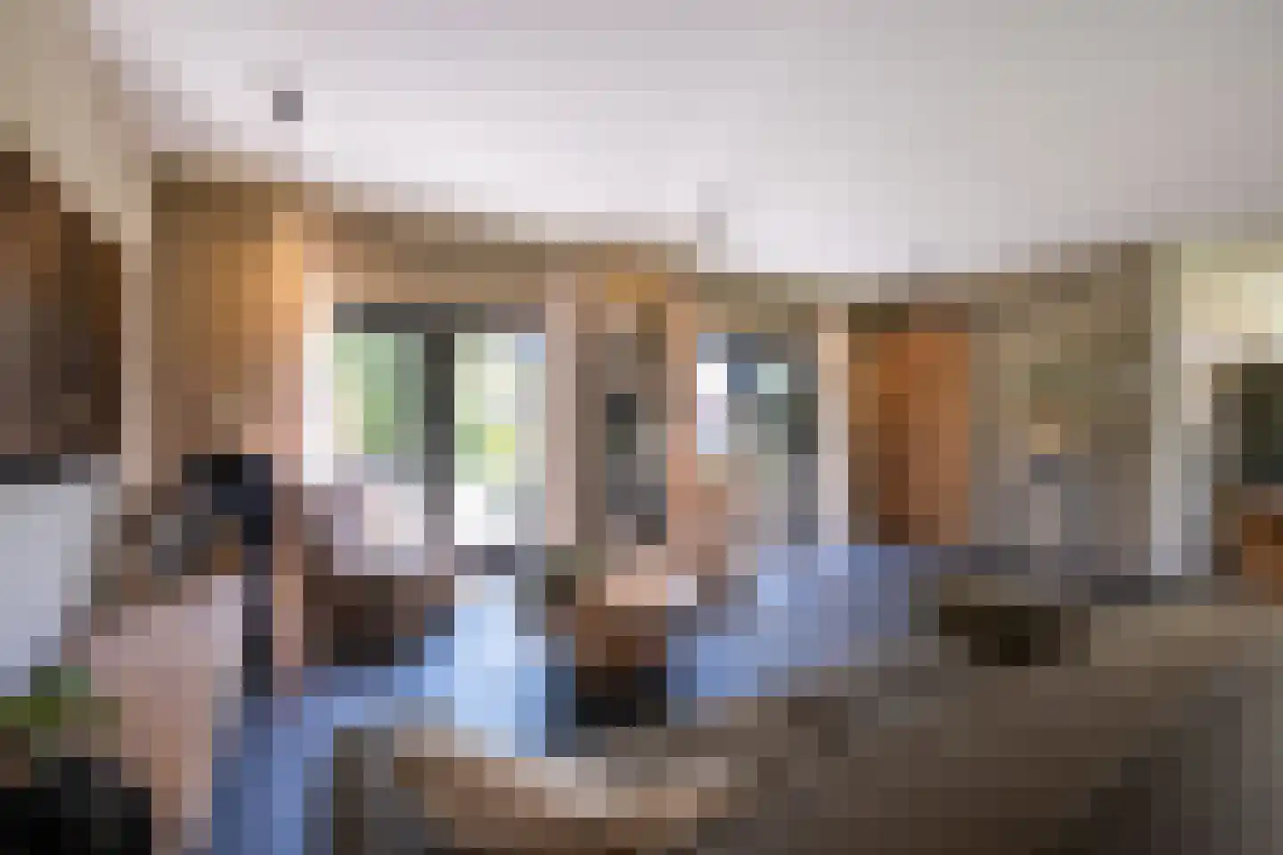 Tuinstraat 49 Zwaagdijk-Oost thumbnail 8