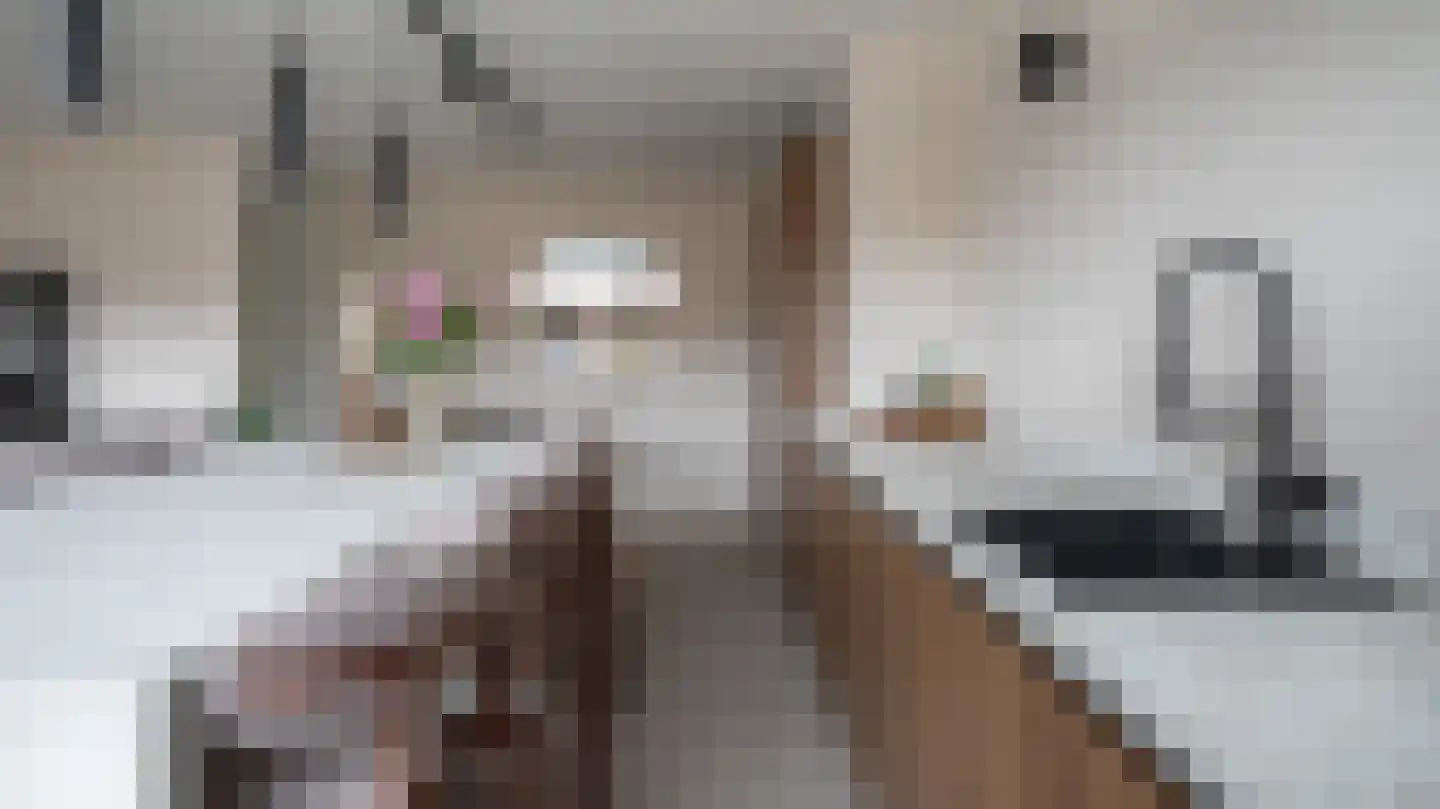 Tuinstraat 5 Almelo thumbnail 10