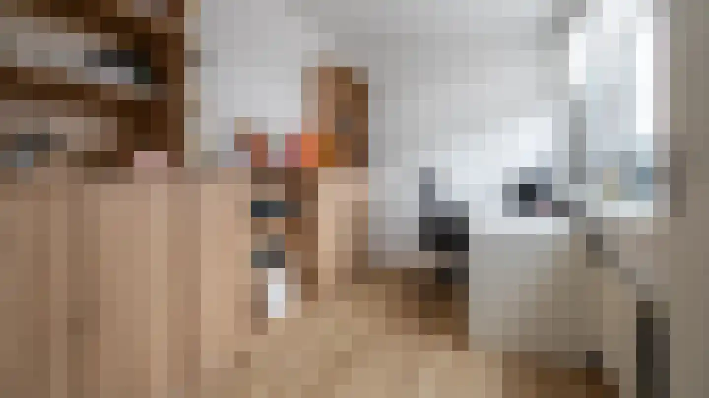 Tuinstraat 5 Almelo thumbnail 15