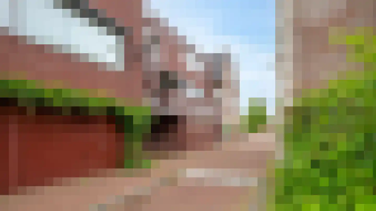 Tuinstraat 5 Almelo thumbnail 27