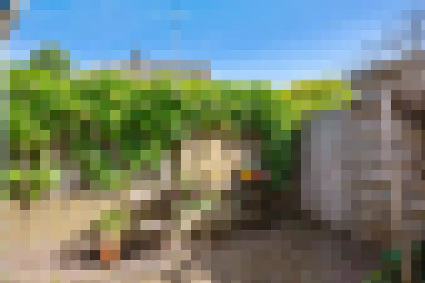Tuinstraat 5 Alphen aan den Rijn thumbnail 15