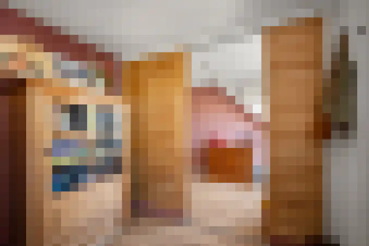 Tuinstraat 5 Alphen aan den Rijn thumbnail 31
