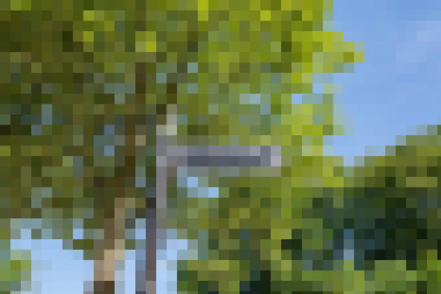 Tuinstraat 5 Alphen aan den Rijn thumbnail 38