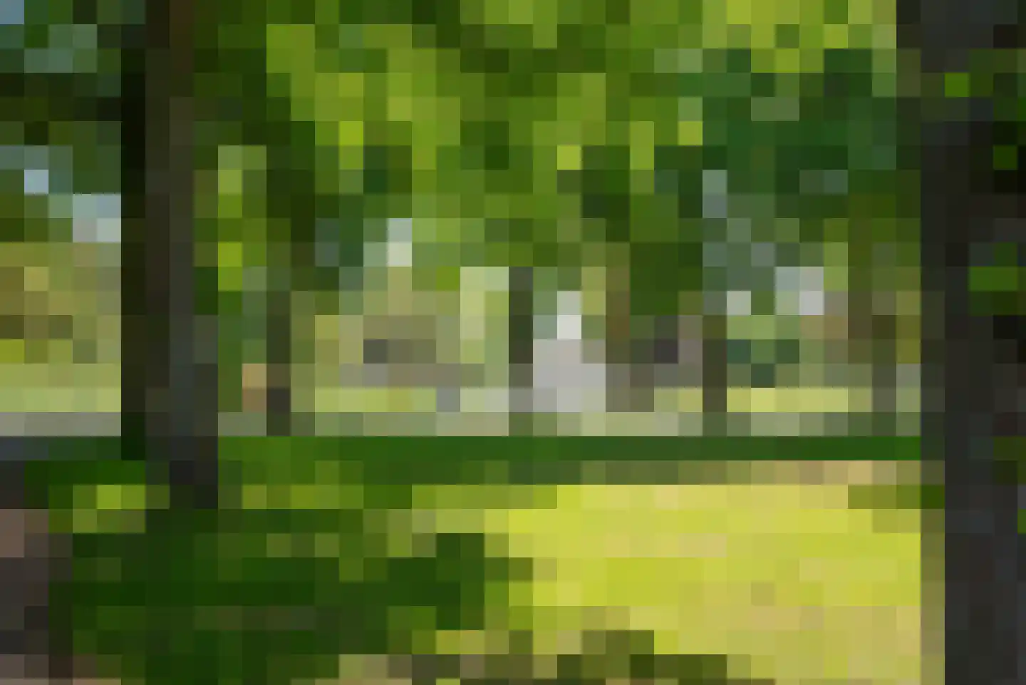 Tuinstraat 5 Alphen aan den Rijn thumbnail 39