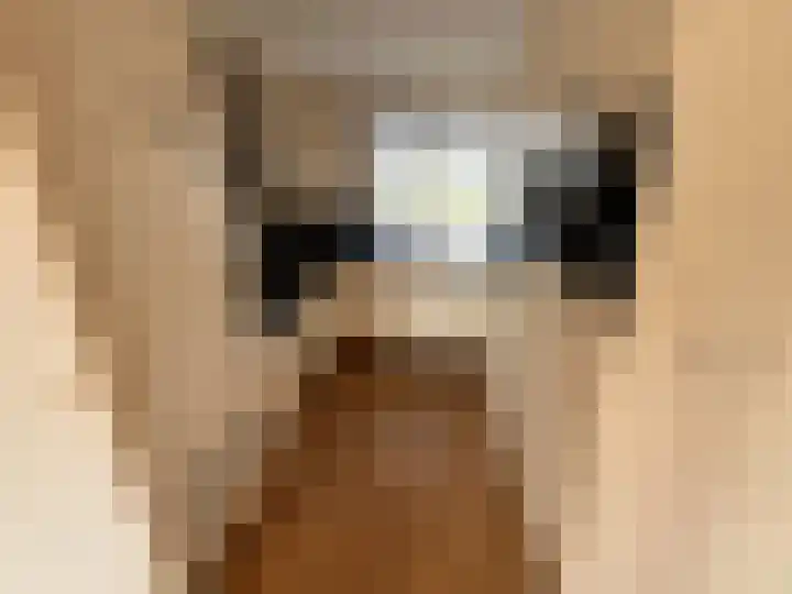 Tuinstraat 5 Asten thumbnail 7