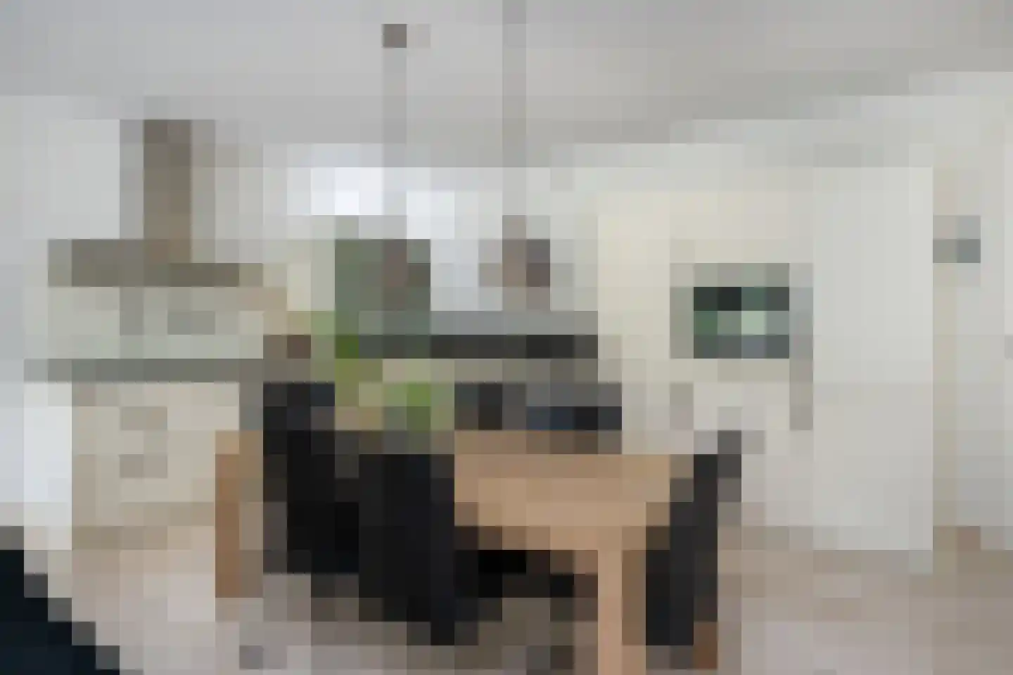 Tuinstraat 5 Dirksland thumbnail 12