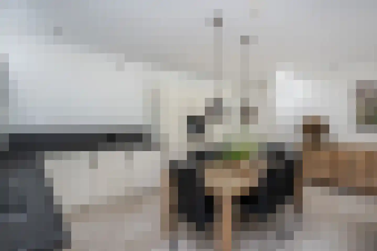Tuinstraat 5 Dirksland thumbnail 13