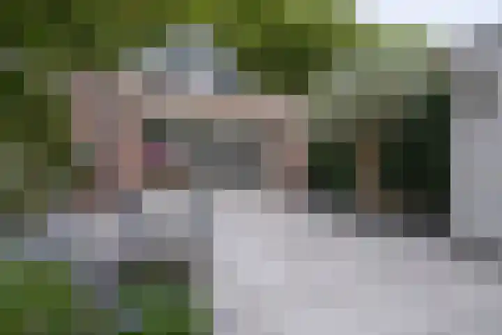 Tuinstraat 5 Dirksland foto 2