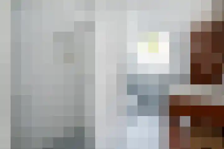 Tuinstraat 5 Dirksland thumbnail 20