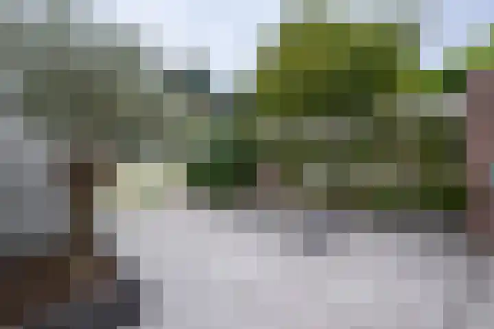 Tuinstraat 5 Dirksland thumbnail 24