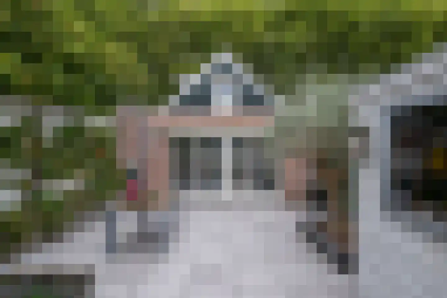 Tuinstraat 5 Dirksland thumbnail 27