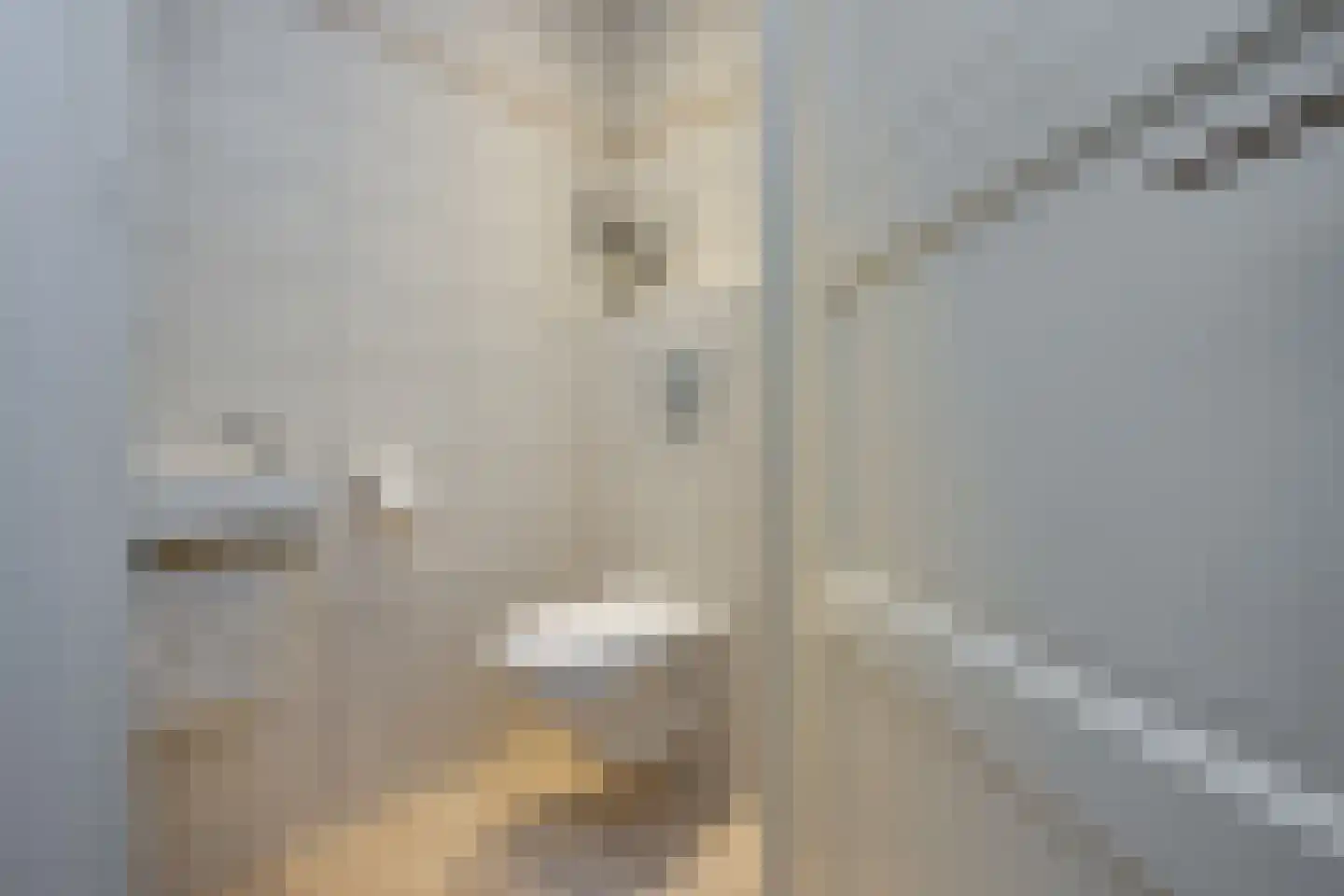 Tuinstraat 5 Dirksland thumbnail 6