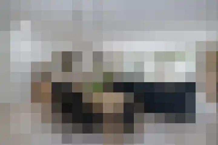 Tuinstraat 5 Dirksland thumbnail 7