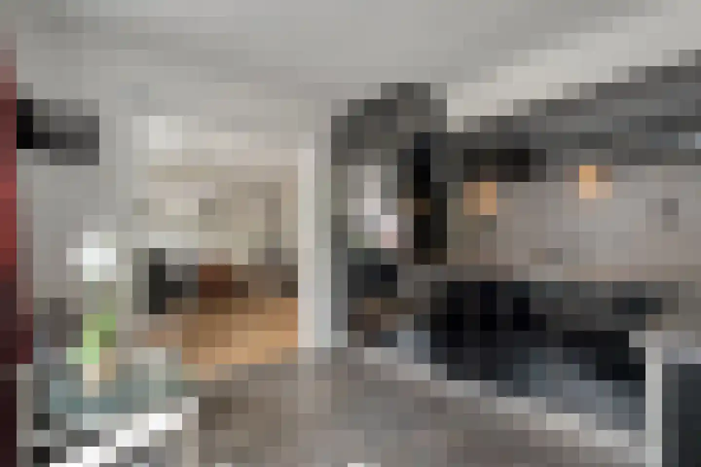 Tuinstraat 5 Ommen thumbnail 10