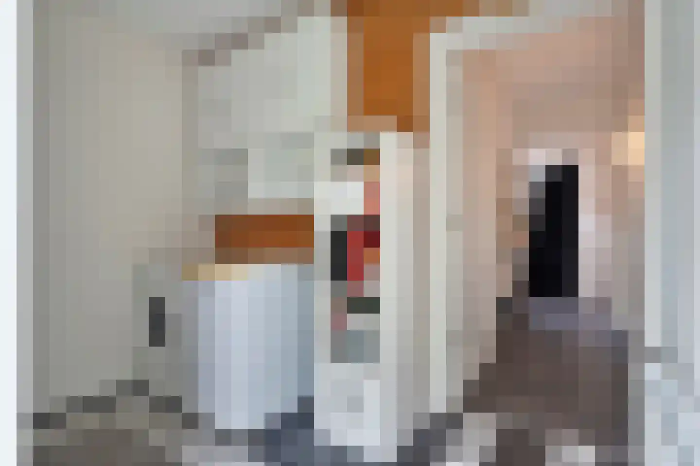 Tuinstraat 5 Ommen thumbnail 15