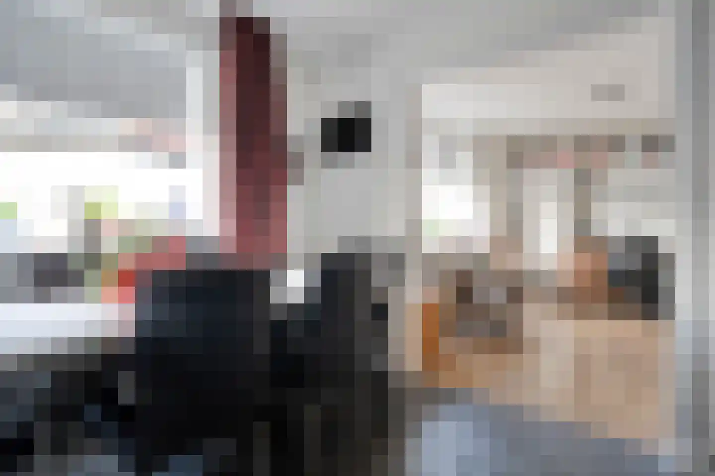 Tuinstraat 5 Ommen thumbnail 17