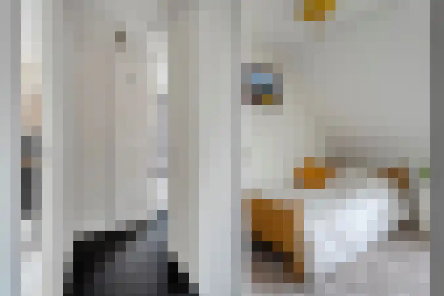 Tuinstraat 5 Ommen thumbnail 26