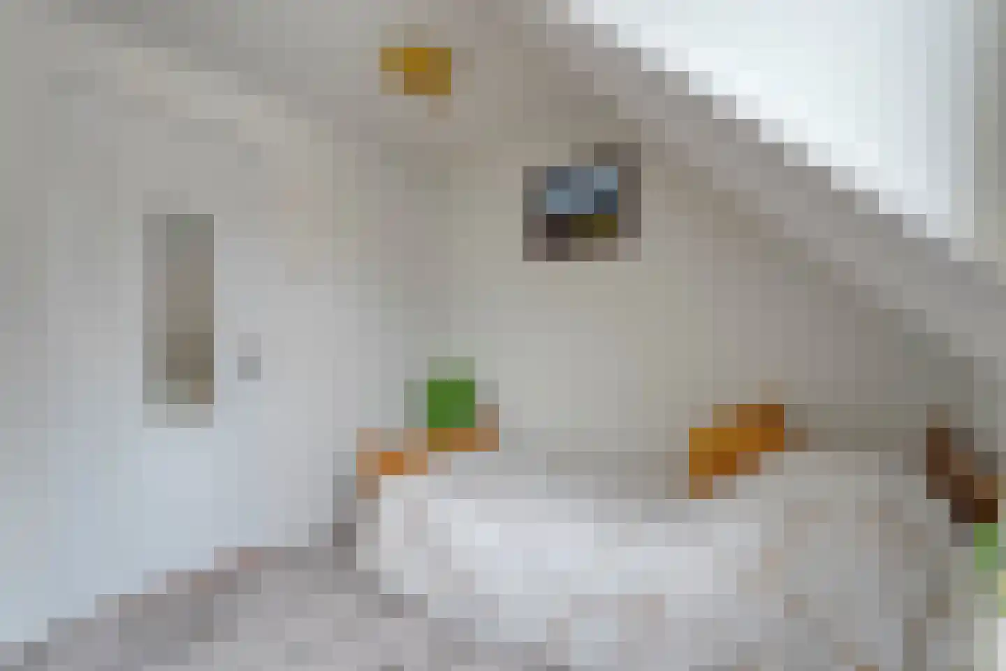 Tuinstraat 5 Ommen thumbnail 28