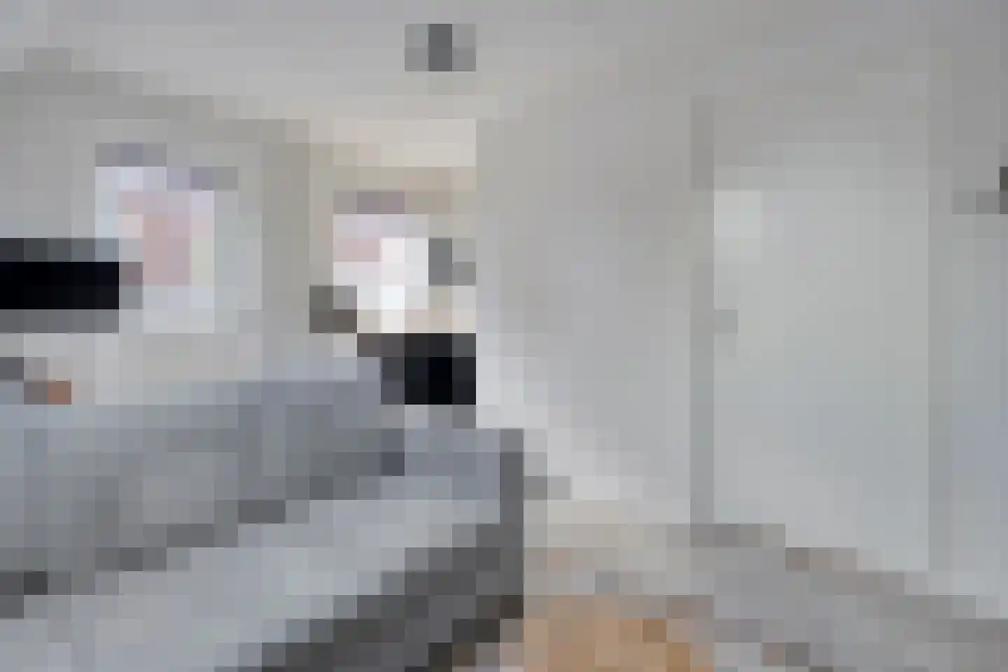 Tuinstraat 5 Ommen thumbnail 28