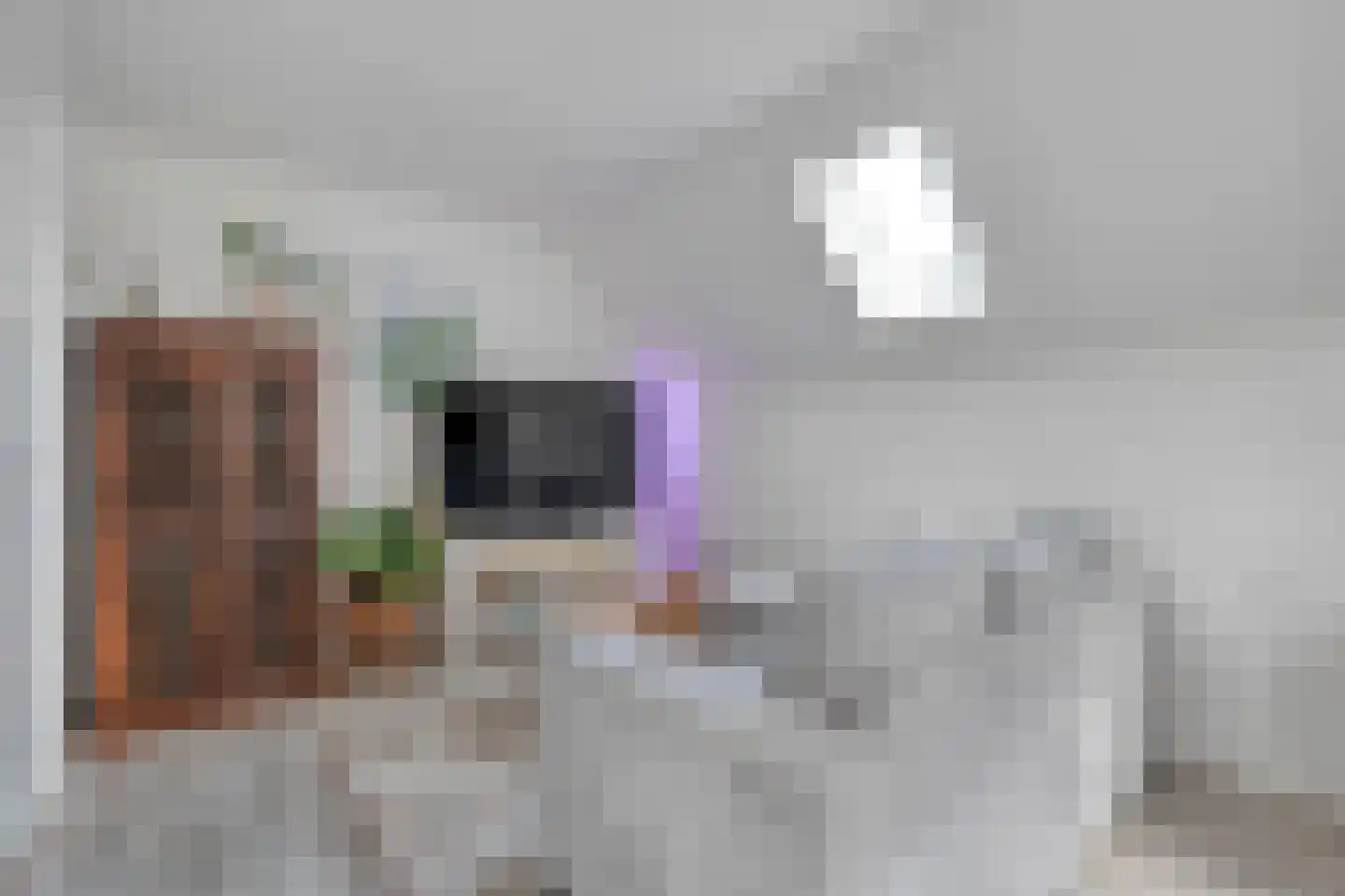 Tuinstraat 5 Ommen thumbnail 29