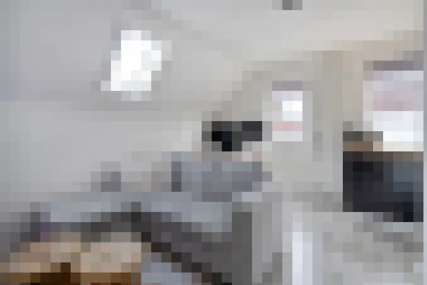 Tuinstraat 5 Ommen thumbnail 30