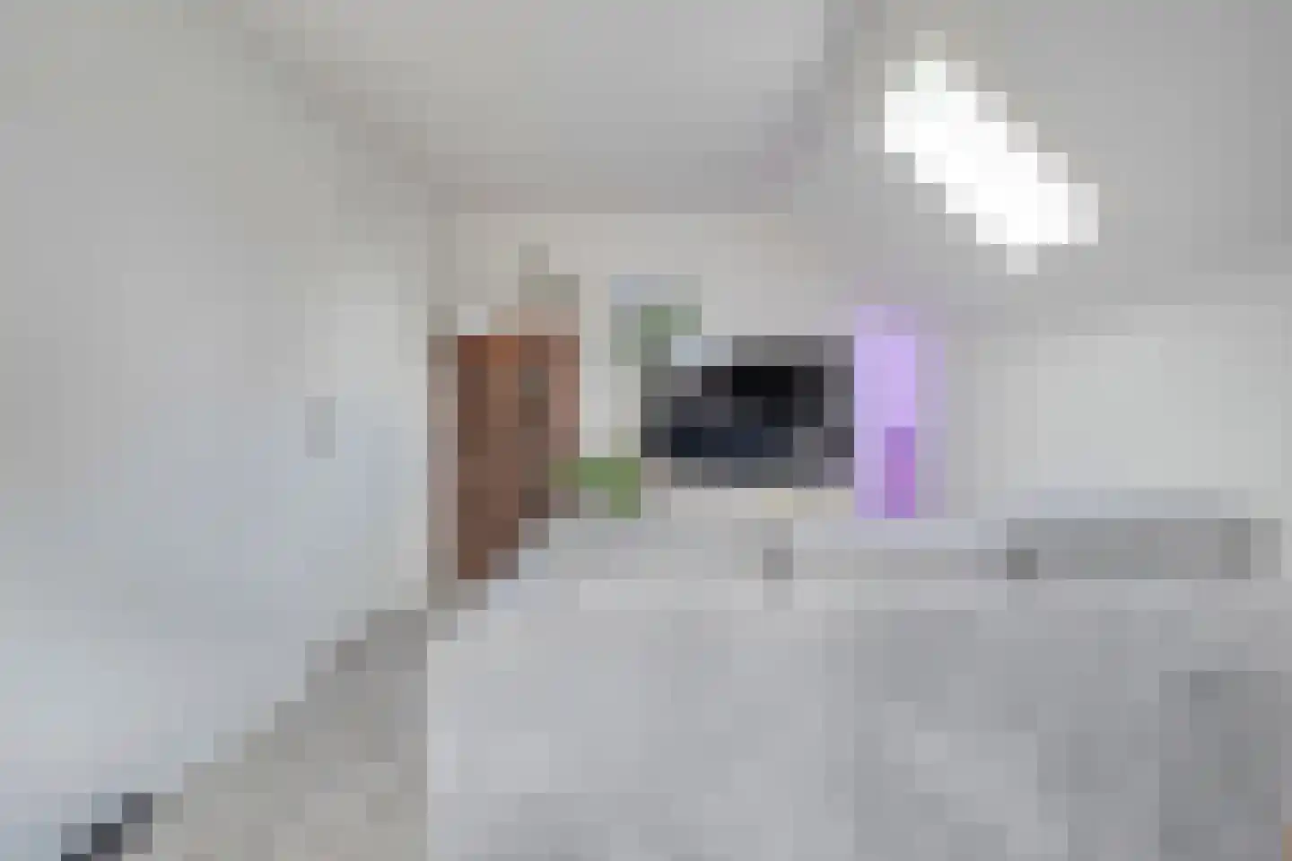 Tuinstraat 5 Ommen thumbnail 31