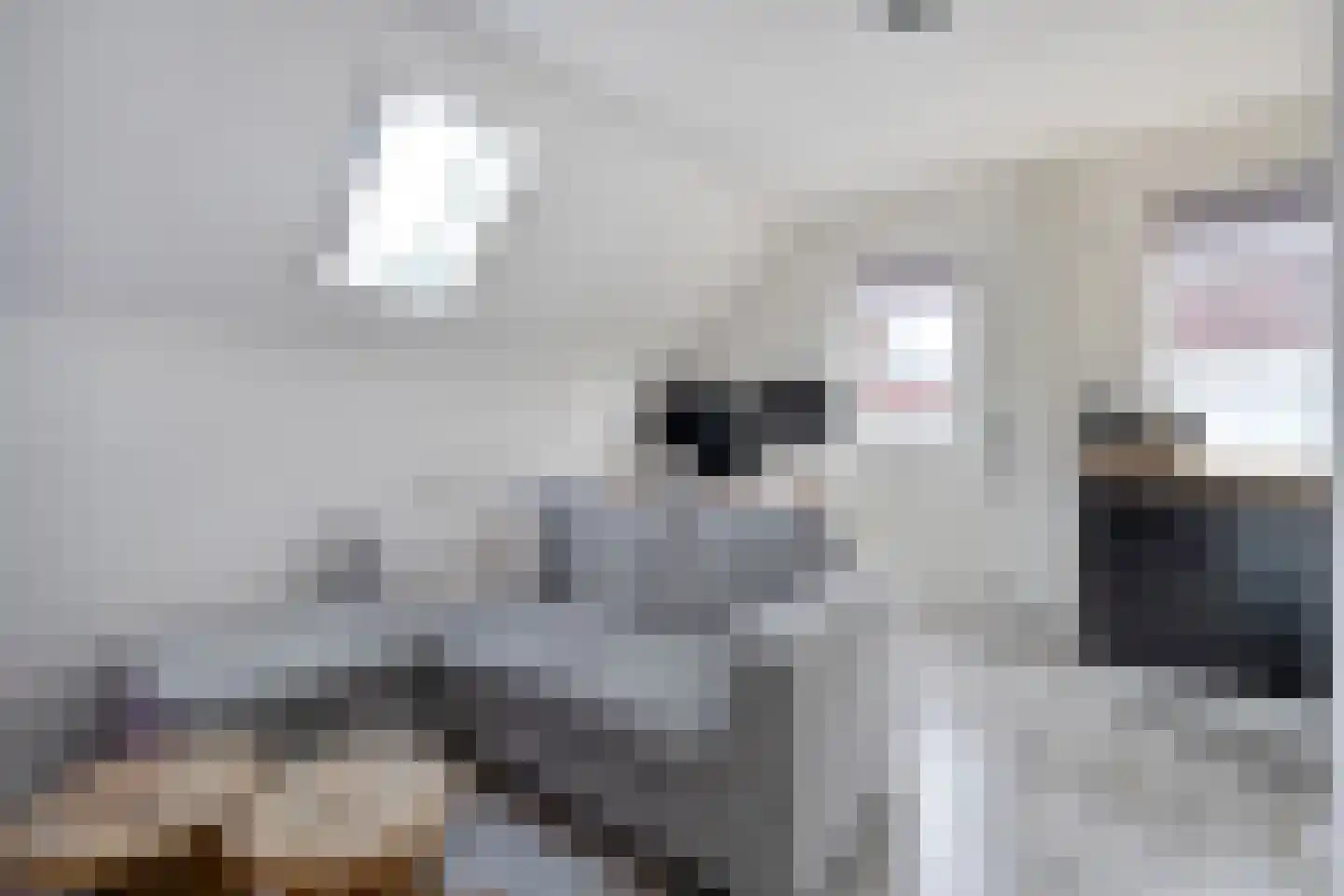 Tuinstraat 5 Ommen thumbnail 30