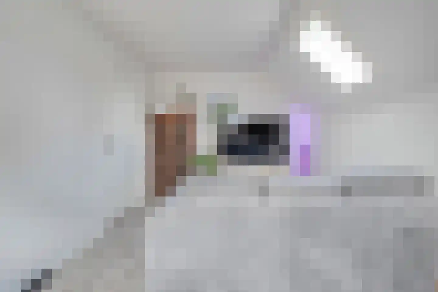 Tuinstraat 5 Ommen thumbnail 31