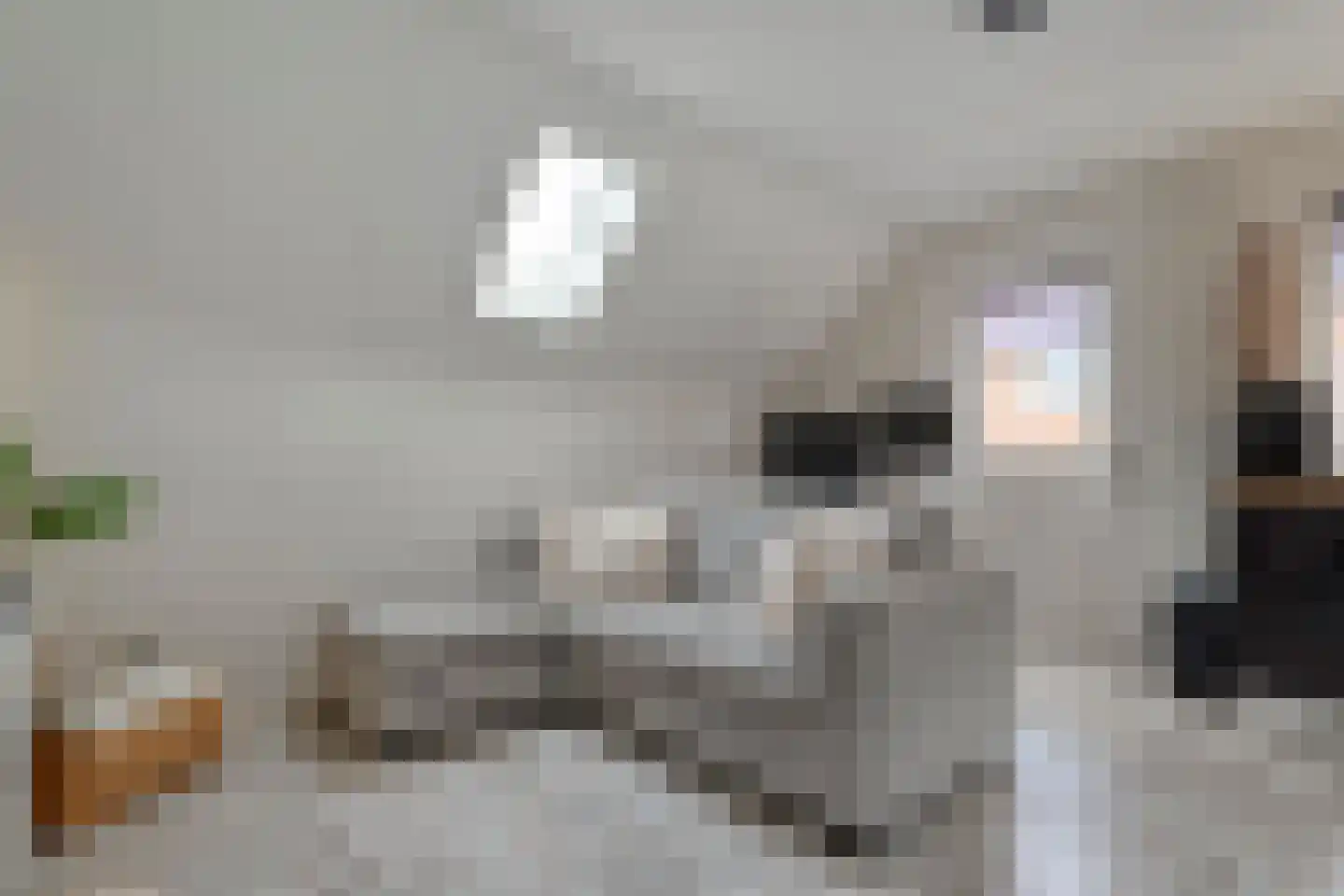 Tuinstraat 5 Ommen thumbnail 33