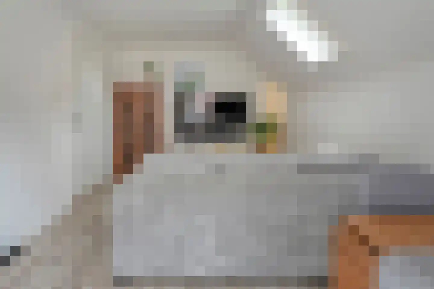Tuinstraat 5 Ommen thumbnail 34