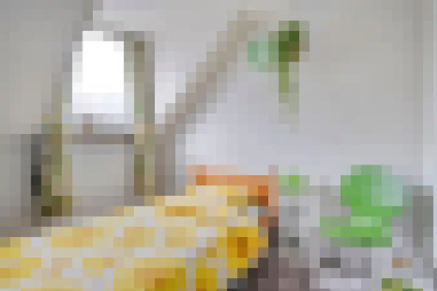 Tuinstraat 5 Ommen thumbnail 34