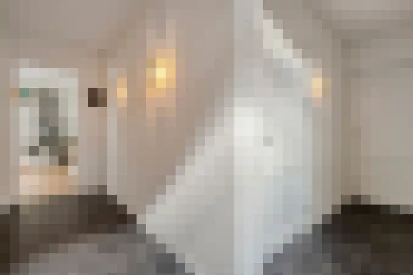 Tuinstraat 5 Ommen thumbnail 4